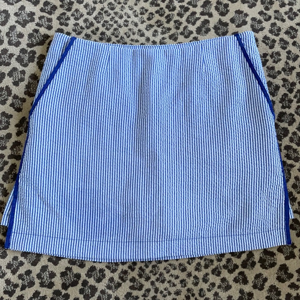 Blue and White Striped Mini Skirt
